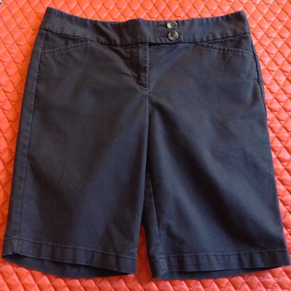 Ann Taylor Petites signature fit