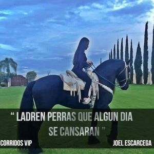 Meet your Posher, Perla