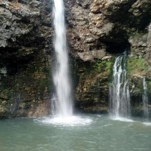 Meet your Posher, Norma