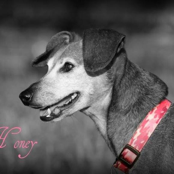 Meet your Posher, Sheri - Picture 1 of 1