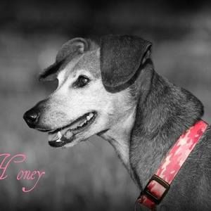 Meet your Posher, Sheri