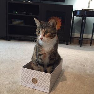 Meet your Posher, Suzanne