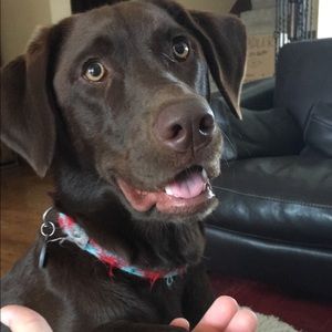 Meet your Posher, Leah