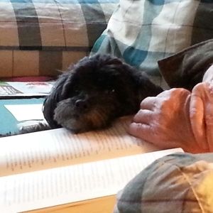 Meet your Posher, Gwen