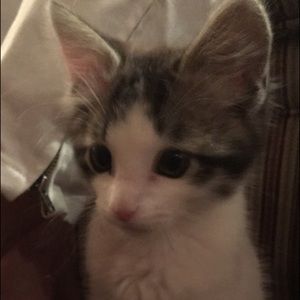 Meet your Posher, Lexy