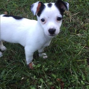 Meet your Posher, Norma