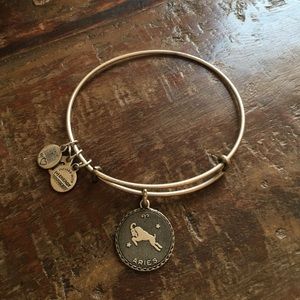 Alex and Ani Aries bracelet