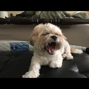 Meet your Posher, Joann