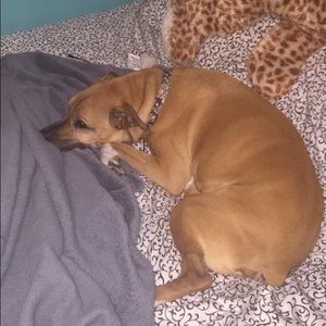 Meet your Posher, Darby