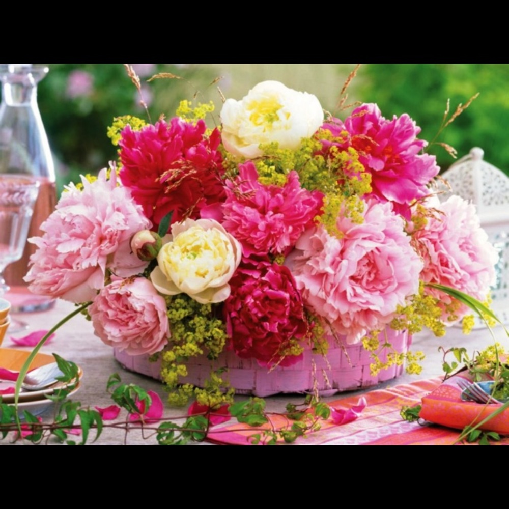 Meet your Posher, Jenny