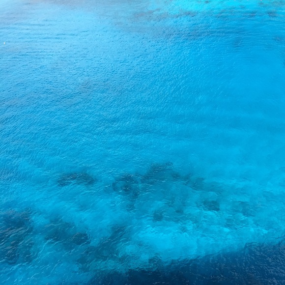 Meet your Posher, Kaley - Picture 1 of 1