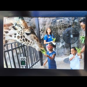 Meet your Posher, Nikki