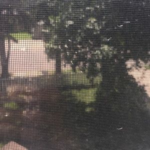 Meet your Posher, Ayan