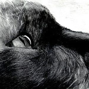 Meet your Posher, Lee