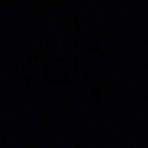 Meet your Posher, Corrina