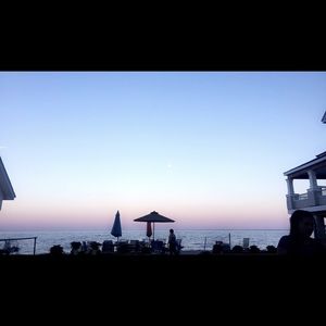 Meet your Posher, Izzy