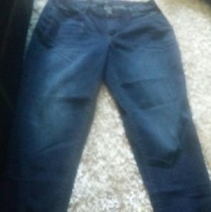 Lane Bryant Boyfriend Jeans