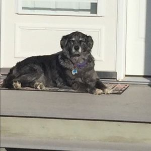 Meet your Posher, Jocelyn