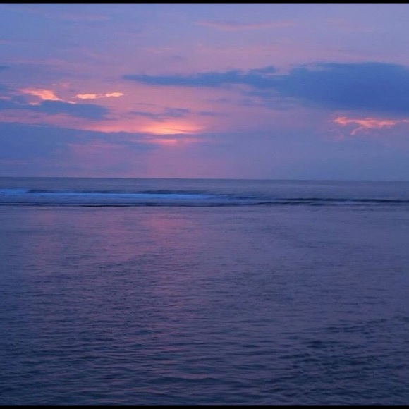 Meet your Posher, Molly