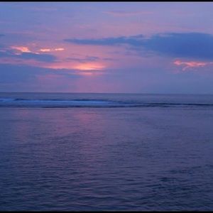 Meet your Posher, Molly