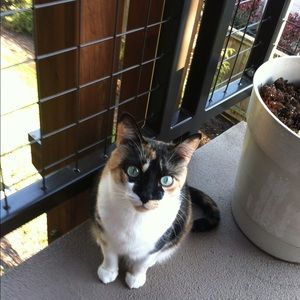 Meet your Posher, Melody