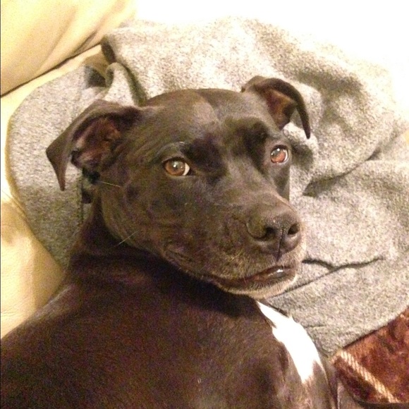 Meet your Posher, Tira - Picture 1 of 1
