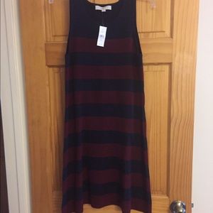 Ann Taylor Loft Sweater Dress