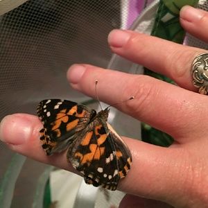 Meet your Posher, Sara