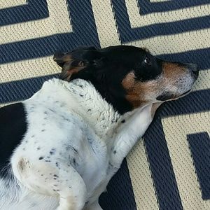 Meet your Posher, Dee