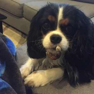 Meet your Posher, Michelle