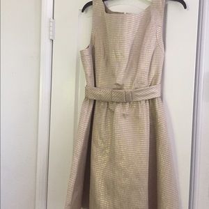Shimmery Gold Dress! 👗