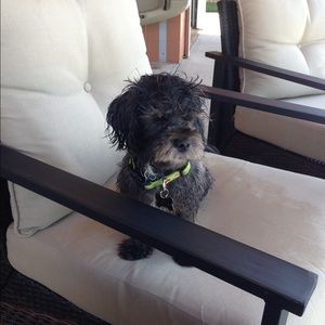 Meet your Posher, Tracy