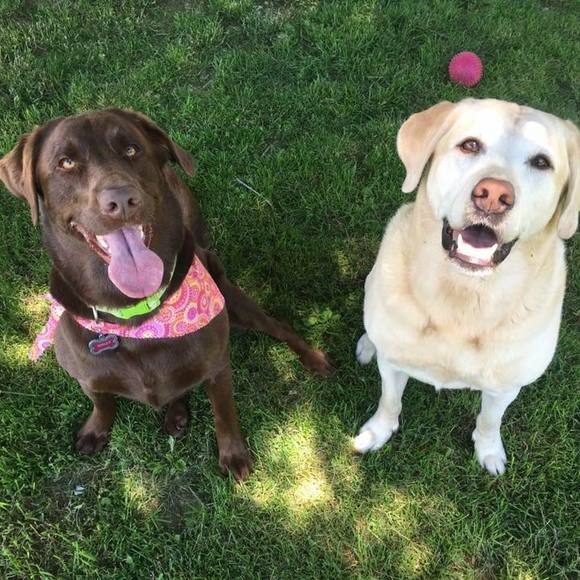 Meet your Posher, Mary - Picture 1 of 1