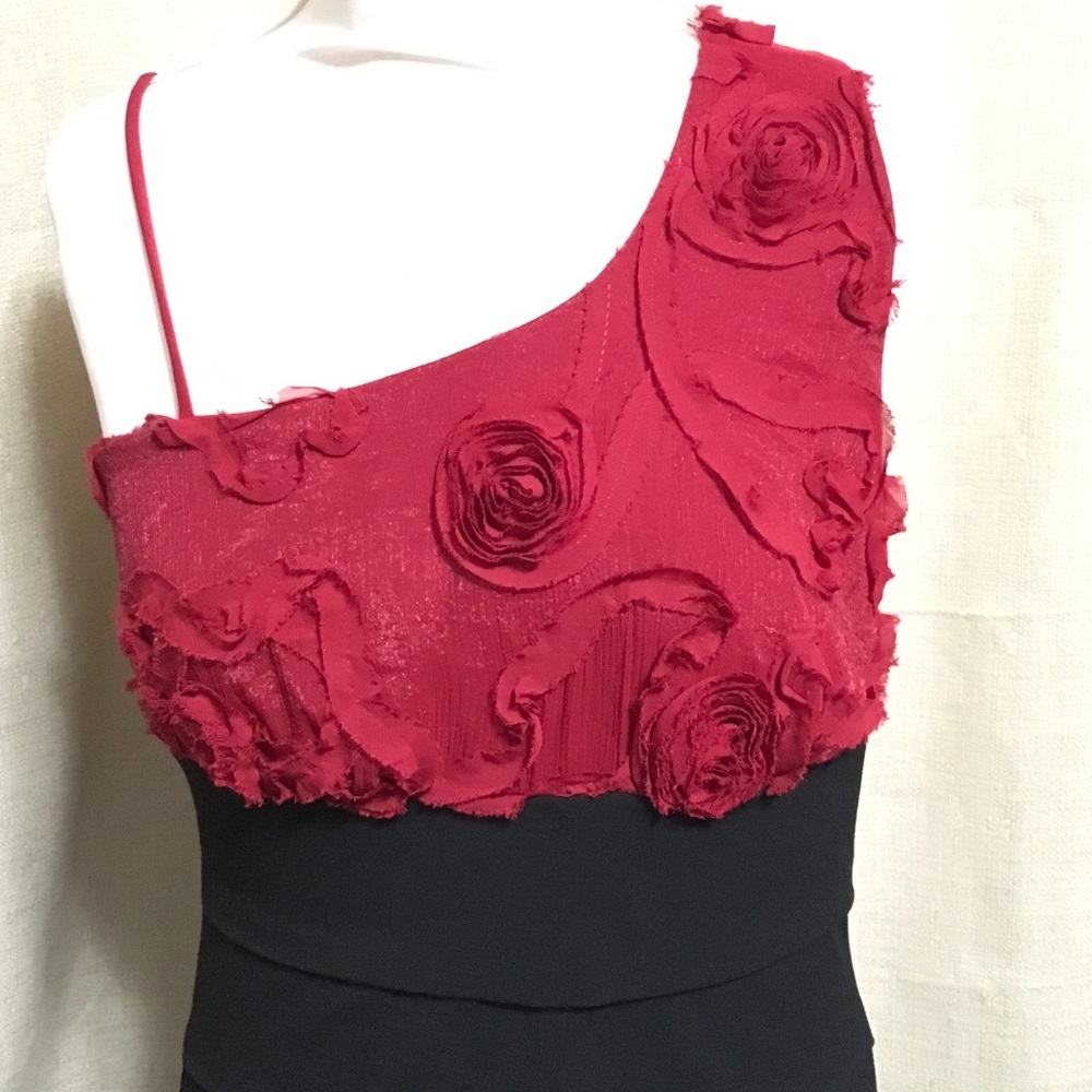 Enfocus Studios one shoulder dress