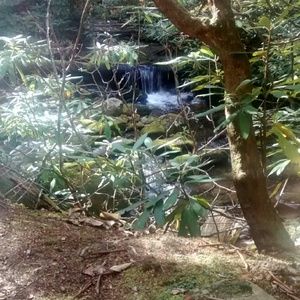 Meet your Posher, Liliana