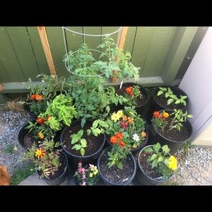 Meet your Posher, Susan