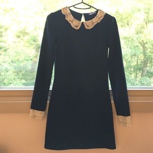 Cooperative Clara Ponte Lace Collar Dress