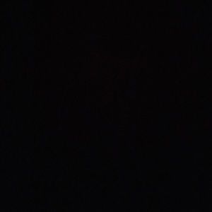 Meet your Posher, Justine