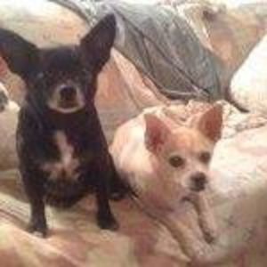 Meet your Posher, Isabella