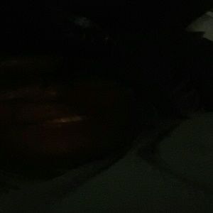 Meet your Posher, Lorraine