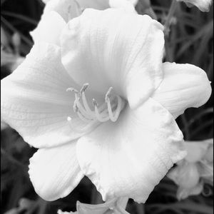 Meet your Posher, Trinity