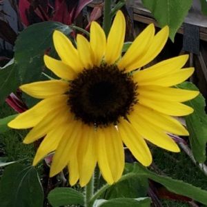 Meet your Posher, Glennda