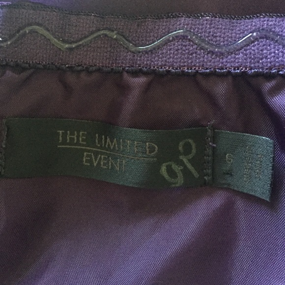 ❌DONATED❌ The Limited Dress Size 6 - Picture 4 of 7