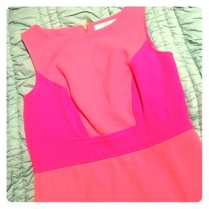 Ann Taylor Loft Dress