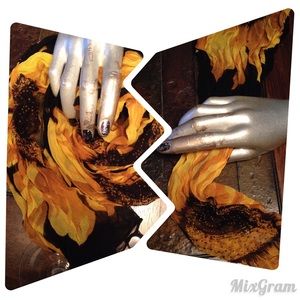 Sheer sunflower #scarf