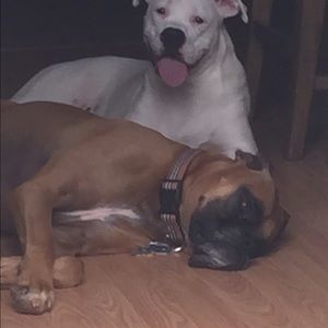 Meet your Posher, Brenda