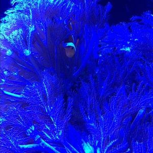 Meet your Posher, Tom