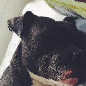 Meet your Posher, Elise