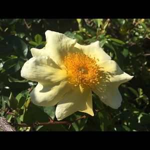 Meet your Posher, Stacy