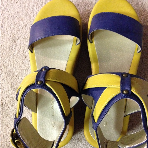 Blue and yellow wedges